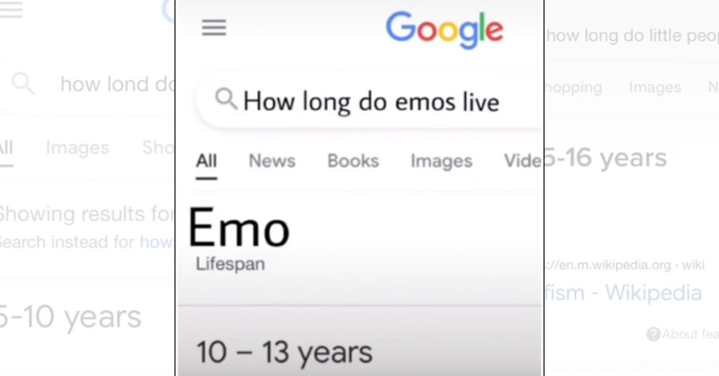 A Google search result displaying an incorrect lifespan of 10-13 years for 'Emo' in a humorous misrepresentation of life expectancy.