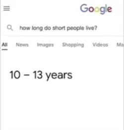 A Google search response incorrectly stating '10 - 13 years' as the lifespan for 'how long do short people live?'